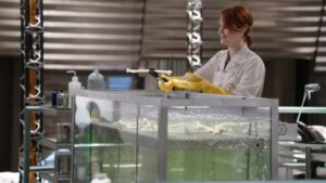 Смотреть на Лордфильм 2.0 Сериал Кости 2005