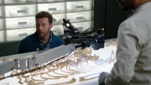Смотреть на Лордфильм 2.0 Сериал Кости 2005