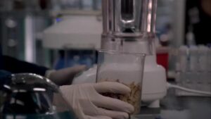 Смотреть на Лордфильм 2.0 Сериал Кости 2005